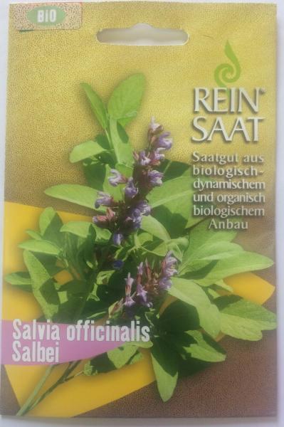 Salbei Saatgut - Salvia officinalis - Bio - Biosaatgut